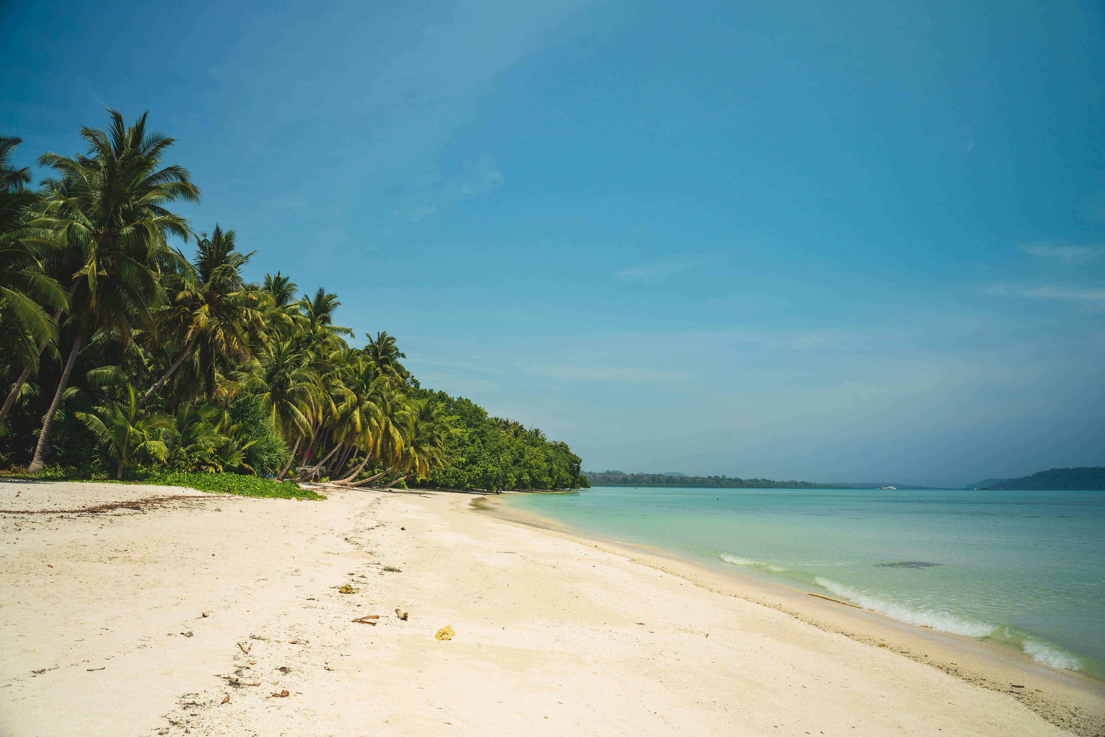 Tropical Dreams Await: Port Blair to Havelock Island in 5 Days traveler photo