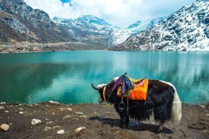 Tshangu Lake