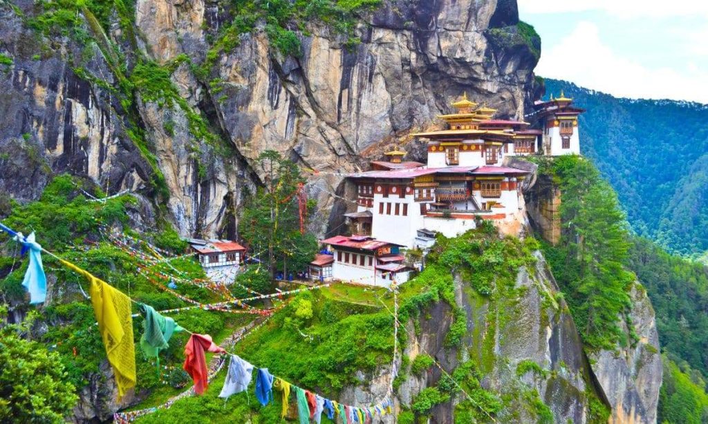 Paro Gallery Thumbnail